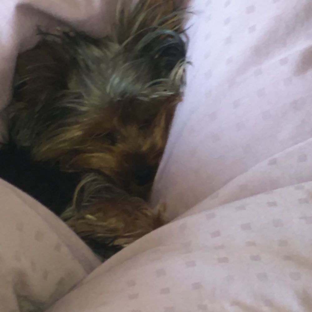 Meet your Posher, Linda